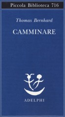 CAMMINARE