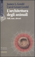 ARCHITETTURA DEGLI ANIMALI NIDI TANE AL
