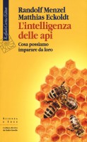 INTELLIGENZA DELLE API COSA POSSIAMO IM