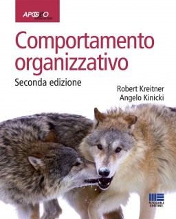 COMPORTAMENTO ORGANIZZATIVO