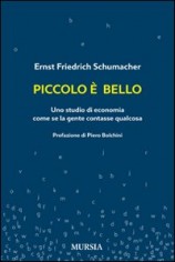 PICCOLO E BELLO UNO STUDIO DI ECONOMIA