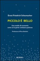 PICCOLO E BELLO UNO STUDIO DI ECONOMIA