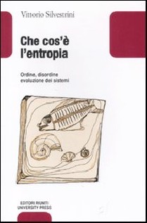 CHE COS'E L'ENTROPIA ORDINE DISORDINE