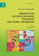 Perspectives on mitochondrial transport and energy...