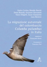 La migrazione autunnale del colombaccio, Columba...
