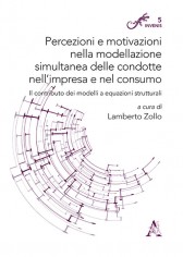 Percezioni e motivazioni nella modellazione simultanea...