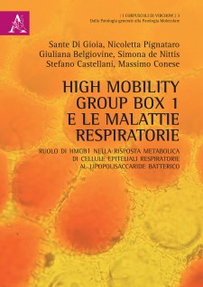 High mobility group box 1 e le malattie respiratorie. Ruolo di HMGB1 nella risposta metabolica di cellule epiteliali res