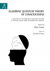 Algebraic quantum theory of consciousness. A solution to...