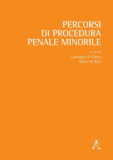 Percorsi di procedura penale minorile