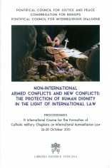 Non-international armed conflicts and new conflicts: the...