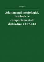 Adattamenti morfologici, fisiologici e comportamentali dell'ordine cetacei