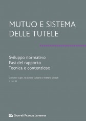 Mutuo e sistema delle tutele. Sviluppo normativo, fasi...