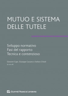 Mutuo e sistema delle tutele. Sviluppo normativo, fasi del rapporto, tecnica e contenzioso
