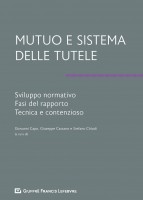Mutuo e sistema delle tutele. Sviluppo normativo, fasi del rapporto, tecnica e contenzioso
