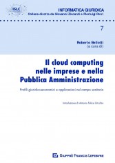 Il cloud computing nelle imprese e nella pubblica...