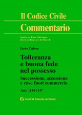 Tolleranza e buona fede nel possesso. Successione,...
