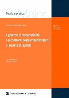 Il giudizio di responsabilità nei confronti degli amministratori di società di capitali. Aggiornato al d.lgs n. 14/2019