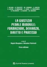 La giustizia penale minorile: formazione, devianza,...