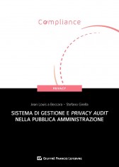 Sistema di gestione e privacy audit nella pubblica...
