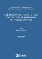 Gli adeguamenti statutari e il diritto transitorio del terzo settore