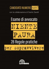 Esame di avvocato. Niente paura. 28 regole pratiche per...
