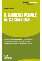 Il giudizio penale in Cassazione