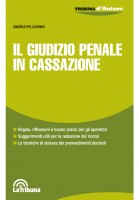 Il giudizio penale in Cassazione
