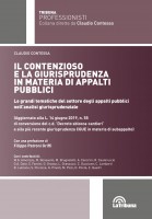 Il contenzioso e la giurisprudenza in materia di appalti pubblici. Le grandi tematiche del settore degli appalti pubblici nel