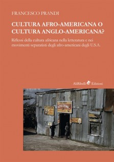 Cultura afro-americana o cultura anglo-americana? Riflessi della cultura africana nella letteratura e nei movimenti...