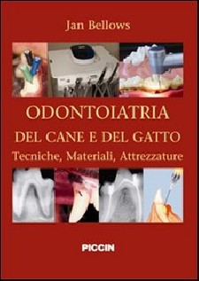 Odontoiatria del cane e del gatto. Tecniche, materiali, attrezzature. Ediz. italiana e inglese