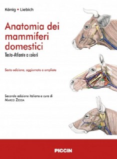 Anatomia dei mammiferi domestici