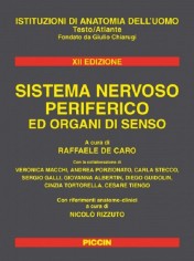 Sistema nervoso periferico ed organi di senso
