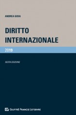 DIRITTO INTERNAZIONALE