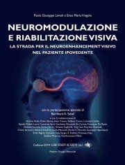 Neuromodulazione e Riabilitazione visiva. La strada per...