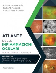 Atlante delle infiammazioni oculari. Vol. 2: Segmento...