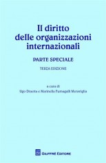 IL DIRITTO DELLE ORGANIZZAZIONI INTERNAZ