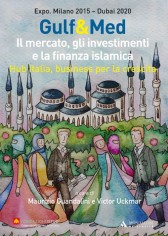 GULF&ampMED IL MERCATO GLI INVESTIMENTI E