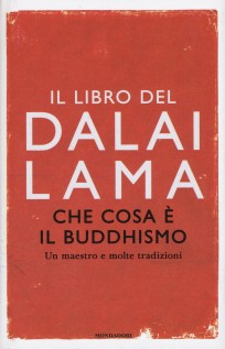 CHE COSA E IL BUDDHISMO UN MAESTRO E MO