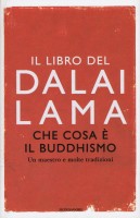 CHE COSA E IL BUDDHISMO UN MAESTRO E MO